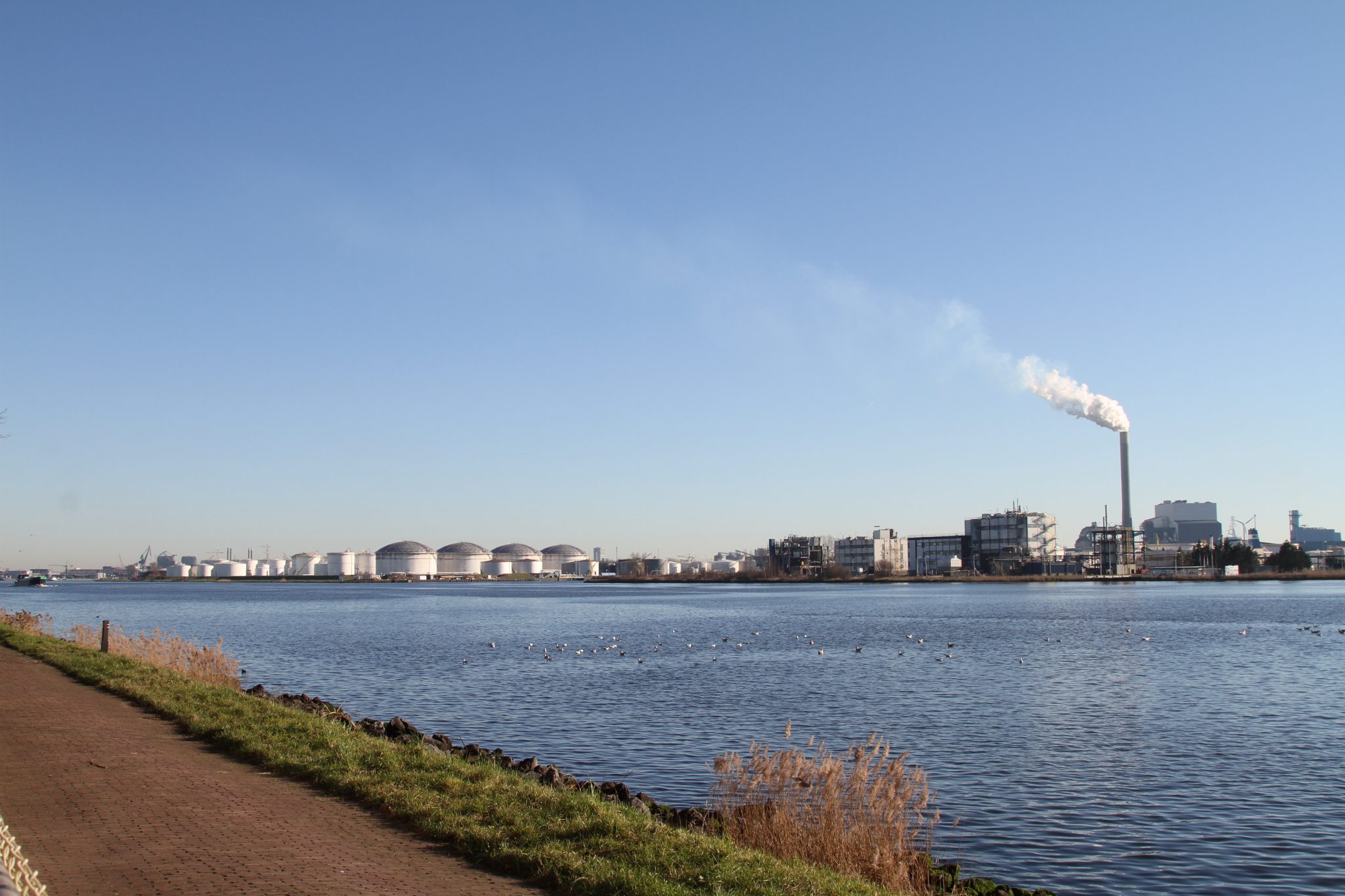 Het HEMbrugterrein: Wat te doen?